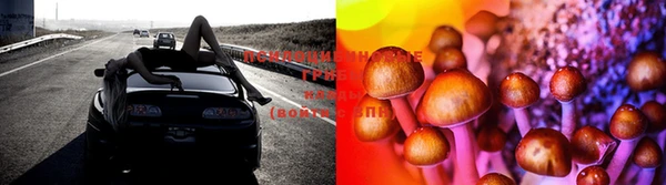 экстази Елабуга