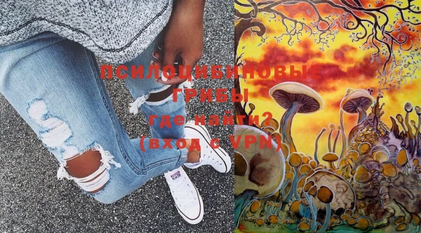 каннабис Елизово