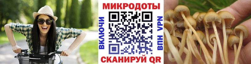 Псилоцибиновые грибы Psilocybine cubensis  Купить где  Альметьевск 